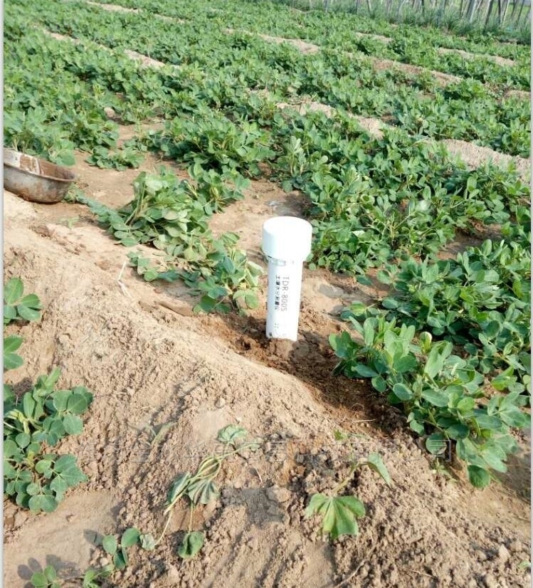 国产TDR土壤水分测量仪快速报价