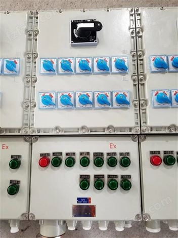 氨区脱硫防爆动力检修箱生产
